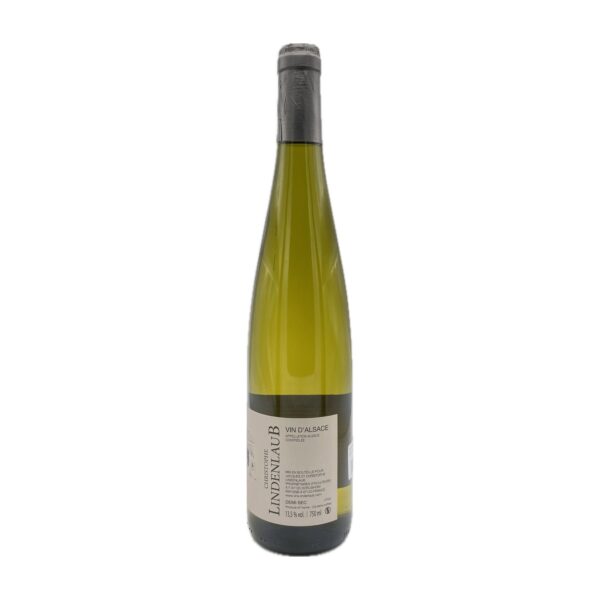 Pinot Gris – Image 3