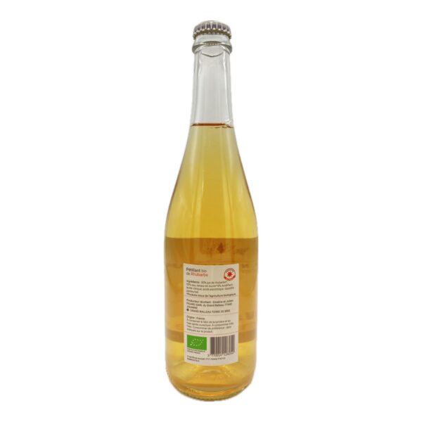 Jus de Rhubarbe Pétillant BIO – Image 2