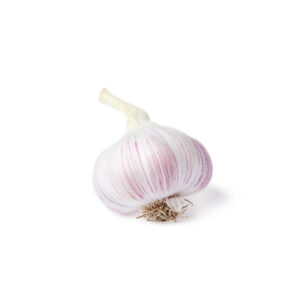 Ail Rose sélection la Ferme de Coubert