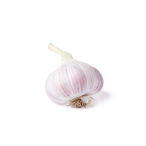 Ail Rose sélection la Ferme de Coubert