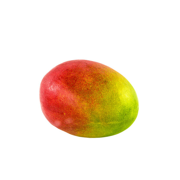 Mangue sélection la Ferme de Coubert
